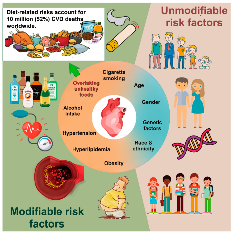 Fig 2: Factors contributing to the development of CVD