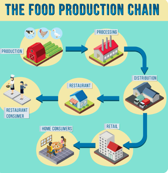 Fig 7: Food Production chain